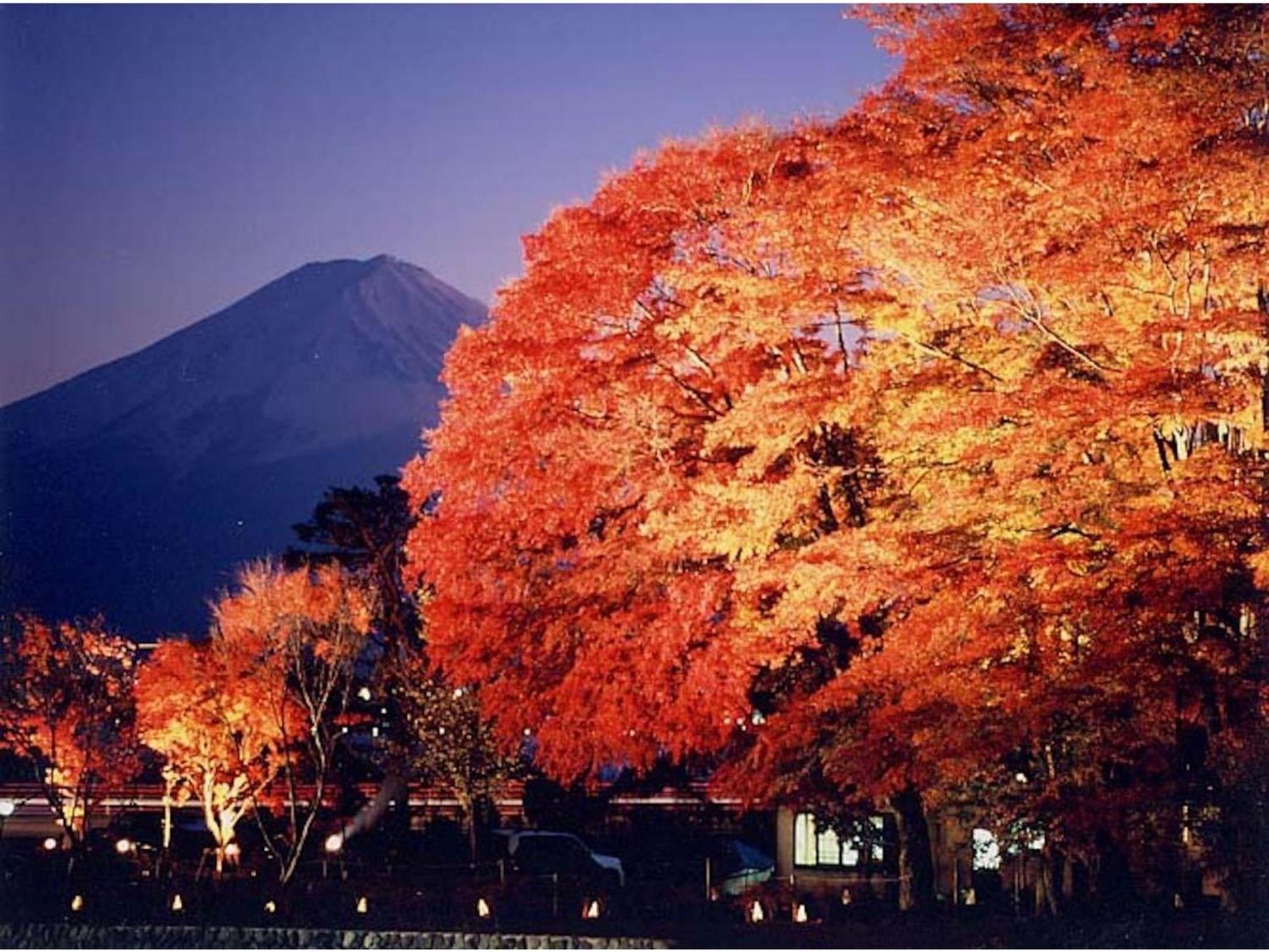 Fujisan Resort Hotel - Vacation Stay 57971V Fujikawaguchiko Zewnętrze zdjęcie